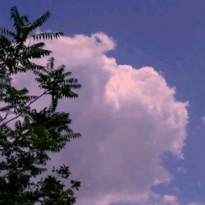 龙之召唤内购破解版下载